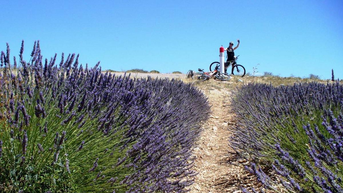 Z�jezdy do Provence