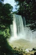 Pralesn� vodop�d Misol-H�