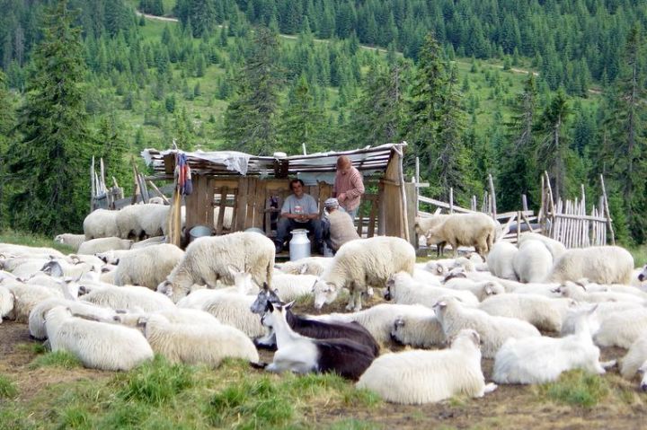 Apuseni
