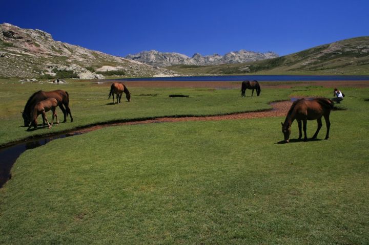 Korsika - Lac de Nino