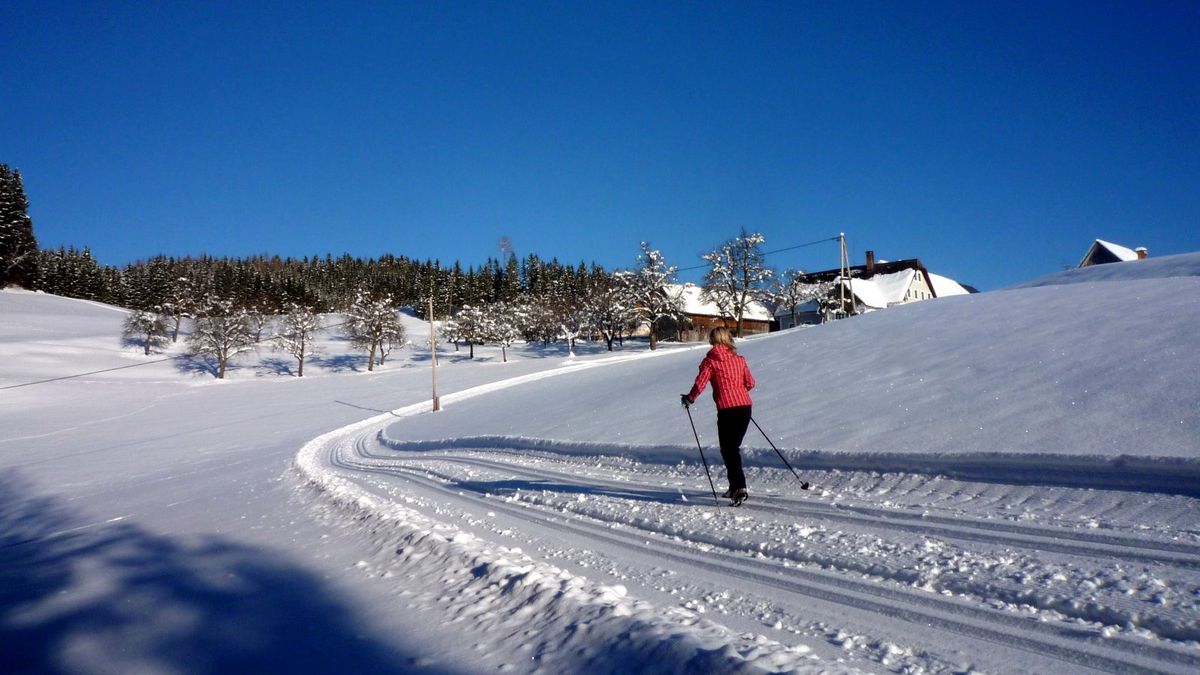 Kurz běžeckého lyžování v Lackenhof - Ötscher
