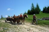 Apuseni - MTB v Rumunsku