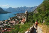 Kotor
