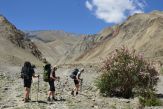 Markha trek
