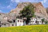 Ladakh: vesnice Markha v údolí Markha