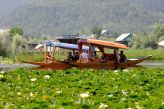 Dal Lake - Srinagar