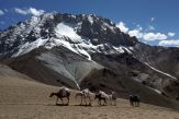Trek nalehko s podporou koní v Himálaji
