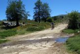 Plateau Coscione