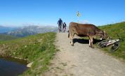 Švýcarsko MTB