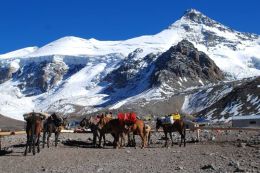 Aconcagua