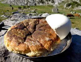 Sýr a chleba na salaši 