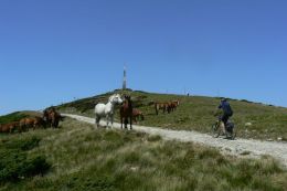 Bihor - Cucurbata Mare 1849 m