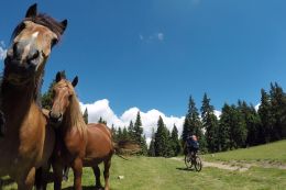 Apuseni - MTB v rumunském krasu