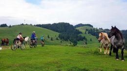 Apuseni - cyklistika kolem polodivokých koní