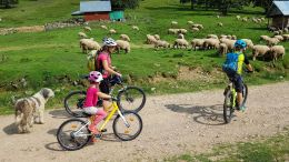 Apuseni na kole: Poiana Varasoaia