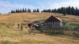 Rumunsko - Apuseni na kole cestou z Padiše na Poiana Calineasa