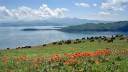 Arménie - u jezera Sevan