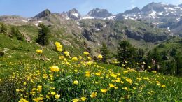 Turistika v NP Mercantour