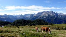 Berchtesgadenské Alpy