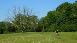 Cykloturistika na českých horách
