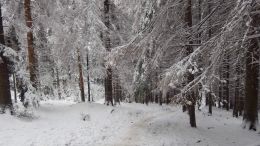 Beskydy na sněžnicích