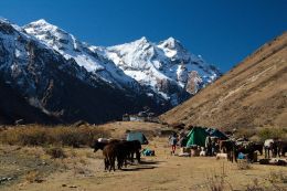 Bhutan - Jolmohari trek 