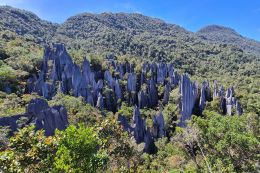 Vápencové špice Pinnacles