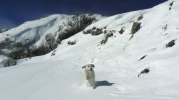 Černá Hora: Durmitor na skialpech