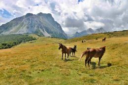Planina Šťavno a Kom Vasojevički (2460 m)