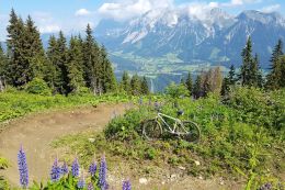 Traily ve Schladmingu