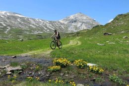 MTB v okolí Dachsteinu