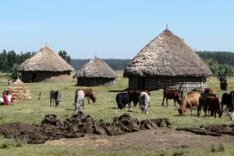 Kruhové domky - tukuly