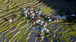 Rýžové terasy v Batadu