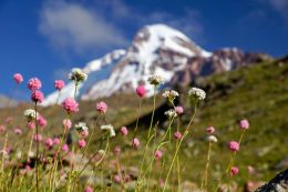 Kavkaz - výstup na Kazbek