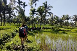 Procházka přes rýžoviště