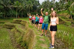 Rýžové terasy Tegalalang na Bali