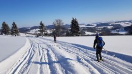 Kurz běžeckého lyžování - Nová Ves - Jeseníky