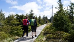 Hřebenovka Jeseníků