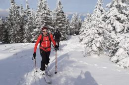 Jeseníky - skialpy pro začátečníky