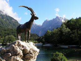 Kranjska Gora - Zlatorog