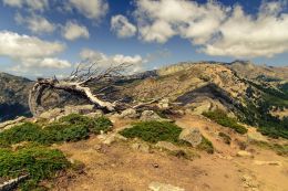 Korsika pěšky i na kole