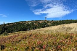 Králický Sněžník