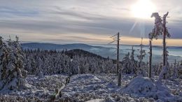 Zimní krajina v NPR Králický Sněžník