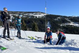 Lavinová problematika