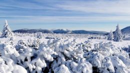 Krkonoše