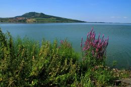 Fotokurz na Pálavě