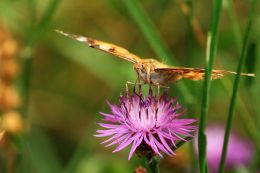 Kurz cestovatelské fotografie - České Švýcarsko
