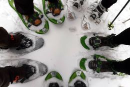 Jeseníky - kurz pohybu na sněžnicích