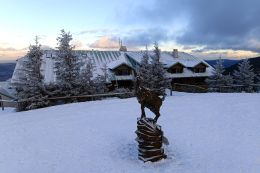 Jeseníky - kurz pohybu na sněžnicích