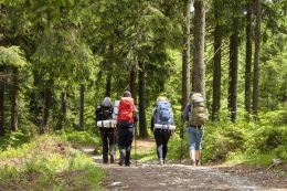 Kurz přežití v přírodě - Rychlebské hory